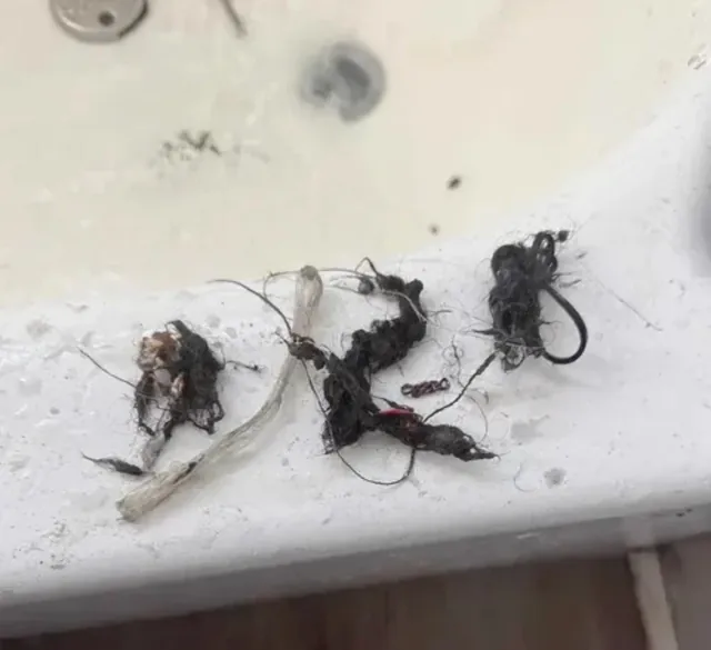 Hair and debris removed from clogged drain