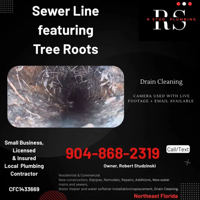 Sewer line and tree root services